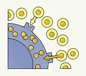Illustration showing excess Cholesterol in bloodstream over-saturating body cells Illustration showing excess Cholesterol in bloodstream over-saturating body cells