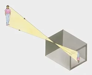 Illustration showing how a pinhole camera works