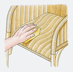 Illustration showing how restore sagging seat of wicker chair using soapy sponge Illustration showing how restore sagging seat of wicker chair using soapy sponge