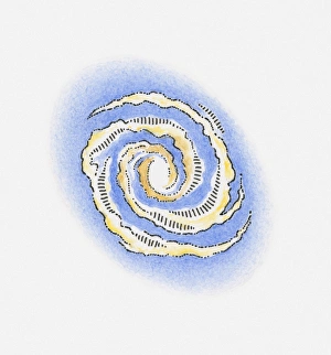 Illustration of swirling galaxies in space Illustration of swirling galaxies in space