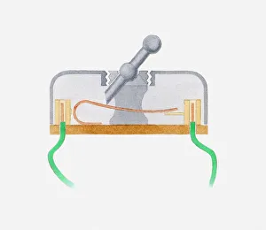 Illustration of a switch showing the inside mechanism Illustration of a switch showing the inside mechanism
