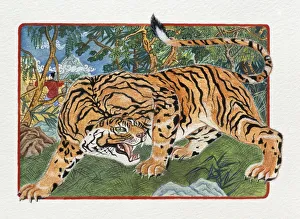 Illustration of Tiger Passing Through The Forest , representing Chinese Year Of The Tiger Illustration of Tiger Passing Through The Forest , representing Chinese Year Of The Tiger