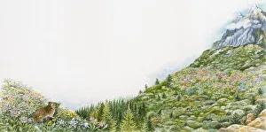 Illustration of tough and hardy plants growing at high altitude with snow-covered Illustration of tough and hardy plants growing at high altitude with snow-covered