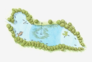 Illustration of trout lake fed by stream and spring, with tree-lined banks Illustration of trout lake fed by stream and spring, with tree-lined banks