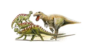 Illustration of a Tyrannosaurus Rex in pursuit of herd of Iguanodon dinosaurs Illustration of a Tyrannosaurus Rex in pursuit of herd of Iguanodon dinosaurs
