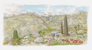 Illustration of wildflowers in Kenyas highland and mountain region Illustration of wildflowers in Kenyas highland and mountain region