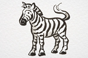 Illustration, Zebra (Equus zebra) standing with its tail curled up, side view Illustration, Zebra (Equus zebra) standing with its tail curled up, side view