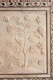 <b class=qtipBold><figcaption>India, Taj Mahal</figcaption></b><br>India, Uttar Pradesh, Agra, Taj Mahal (UNESCO site), detail of marble carvings<br><em>© Michele Falzone</em> India, Taj Mahal