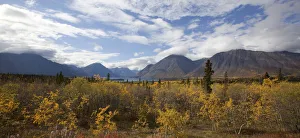 Indian Summer, fall colours, autumn, Kathleen Lake, St. Elias Mountains, Kluane National Park and Reserve Indian Summer, fall colours, autumn, Kathleen Lake, St. Elias Mountains, Kluane National Park and Reserve