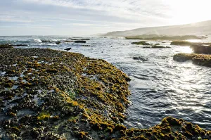 Intertidal zone impacted upon by wave action Intertidal zone impacted upon by wave action