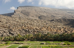 Irrigated vegetable gardens at the foot of the barren Al Hajar Mountains in Wadi Ghul, Sultanate of Oman, Middle East Irrigated vegetable gardens at the foot of the barren Al Hajar Mountains in Wadi Ghul, Sultanate of Oman, Middle East