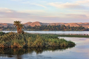 Island in the Nile in the morning light, Egypt, Africa Island in the Nile in the morning light, Egypt, Africa