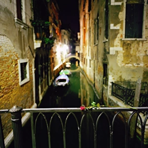 Italy, Venice, rose on bridge over canal at night Italy, Venice, rose on bridge over canal at night