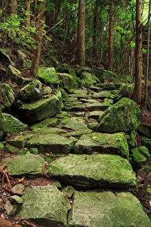 Travel imagery/unesco world heritage/japan mie prefecture kumano kodo Travel imagery/unesco world heritage/japan mie prefecture kumano kodo