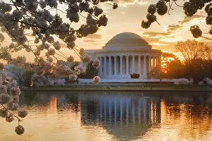 Jefferson Memorial with Cherry Blossoms at Sunrise, Washington, District of Columbia, USA Jefferson Memorial with Cherry Blossoms at Sunrise, Washington, District of Columbia, USA