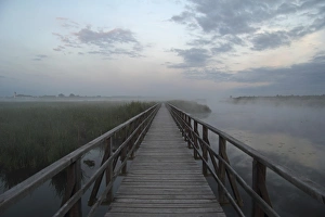 Jetty at Federsee lake, Federsee lake nature reserve, morning mood, Baden-Wuerttemberg Jetty at Federsee lake, Federsee lake nature reserve, morning mood, Baden-Wuerttemberg