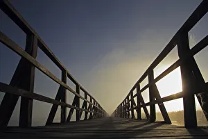 Jetty, walkway at Federsee lake, sunrise, early morning, nature reserve, near Bad Buchau Jetty, walkway at Federsee lake, sunrise, early morning, nature reserve, near Bad Buchau