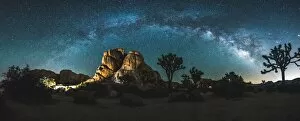 City Of Los Angeles Gallery: Joshua Tree Milky way panorama