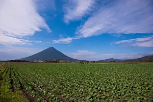 Kaimondake volcano in Ibusuki , Southern kyushu , Japan Kaimondake volcano in Ibusuki , Southern kyushu , Japan