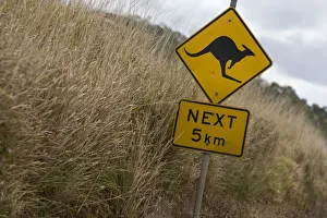 Kangaroo sign near Whitsunday Islands, Australia Kangaroo sign near Whitsunday Islands, Australia