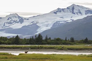 <b class=qtipBold><figcaption>Katmai National Park</figcaption></b><br>Coastal brown bears fish underneath a glacial peak in Katmai National Park and Preserve, Alaska.<br><em>© 2015 Hanna Glafke</em> Katmai National Park