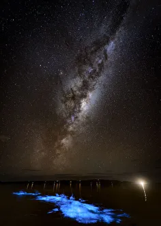 Kayaking in blue bioluminescence under the Milky Way Kayaking in blue bioluminescence under the Milky Way