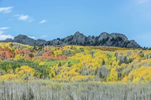 Kebler Pass in autumn, Gunnison National Forest, Colorado, USA Kebler Pass in autumn, Gunnison National Forest, Colorado, USA