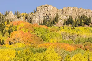 Kebler Pass formation and forest in autumn, Gunnison National Forest, Colorado, USA Kebler Pass formation and forest in autumn, Gunnison National Forest, Colorado, USA