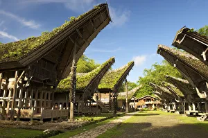 Kete Kesu village with traditional Toraja houses near Rantepao, Sulawesi, Indonesia, Southeast Asia Kete Kesu village with traditional Toraja houses near Rantepao, Sulawesi, Indonesia, Southeast Asia