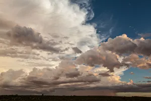 The Kgalagadi Transfrontier Park lies in a large sand-filled basin in the west of The Kgalagadi Transfrontier Park lies in a large sand-filled basin in the west of