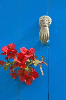 Knocker and flowers on blue door, Sidi Bou Said