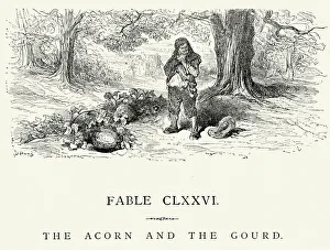 La Fontaine's Fables - Acorn and the Gourd La Fontaine's Fables - Acorn and the Gourd