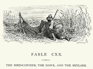La Fontaine's Fables - Bird-Catcher Hawk and the Skylark La Fontaine's Fables - Bird-Catcher Hawk and the Skylark
