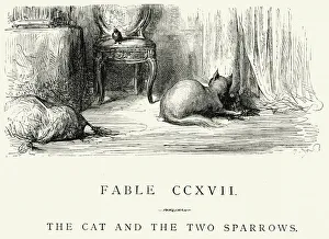 La Fontaine's Fables - Cat and the Two Sparrows La Fontaine's Fables - Cat and the Two Sparrows