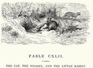 La Fontaine's Fables - Cat Weasel and the Little Rabbit