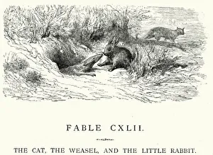 La Fontaine's Fables - Cat Weasel and the Little Rabbit La Fontaine's Fables - Cat Weasel and the Little Rabbit