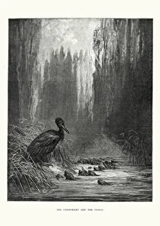La Fontaine's Fables - Cormorant and the Fishes La Fontaine's Fables - Cormorant and the Fishes