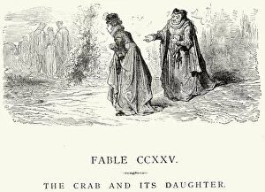 Mature Women Gallery: La Fontaines Fables - The Crab and its Daughter