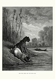 La Fontaine's Fables - Two Dogs and the Dead Ass La Fontaine's Fables - Two Dogs and the Dead Ass