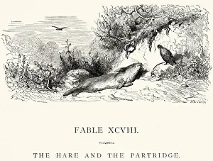 La Fontaine's Fables - Hare and the Partridge La Fontaine's Fables - Hare and the Partridge
