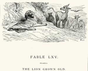 La Fontaine's Fables - The Lion Grown Old La Fontaine's Fables - The Lion Grown Old
