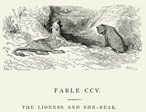 La Fontaine's Fables - Lioness and the She Bear La Fontaine's Fables - Lioness and the She Bear