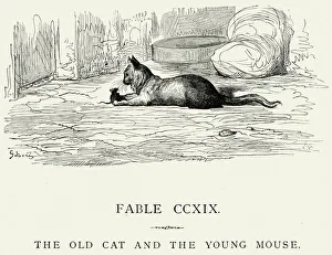 La Fontaine's Fables - Old Cat and the Young Mouse La Fontaine's Fables - Old Cat and the Young Mouse