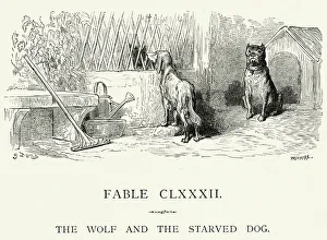 La Fontaine's Fables - Wolf and the Starved Dog La Fontaine's Fables - Wolf and the Starved Dog