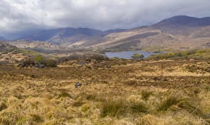 Ladies View, a scenic point on Upper Lake on the N71 portion of the Ring of Kerry Ladies View, a scenic point on Upper Lake on the N71 portion of the Ring of Kerry