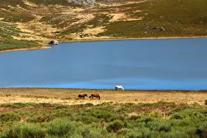 Laguna de los Peces in Sanabria Natural Park Laguna de los Peces in Sanabria Natural Park