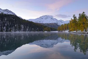 Lake Champfer with an autumnal coloured Larch -Larix- forest with Piz da la Margna at the rear, Pontresina, Grisons Lake Champfer with an autumnal coloured Larch -Larix- forest with Piz da la Margna at the rear, Pontresina, Grisons