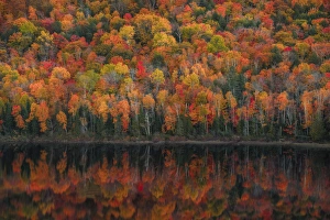 Lake of the Clouds Fall Color Reflections #1 Lake of the Clouds Fall Color Reflections #1