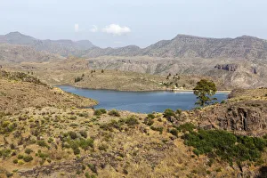 Lake El Juncal, a small reservoir in the Pinar de Pajonales National Park, Roque Bentaiga Lake El Juncal, a small reservoir in the Pinar de Pajonales National Park, Roque Bentaiga