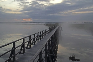 Lake Federsee boardwalk, morning mood, nature reserve, Upper Swabia, Baden-Wuerttemberg Lake Federsee boardwalk, morning mood, nature reserve, Upper Swabia, Baden-Wuerttemberg